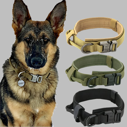 Dog Collar
